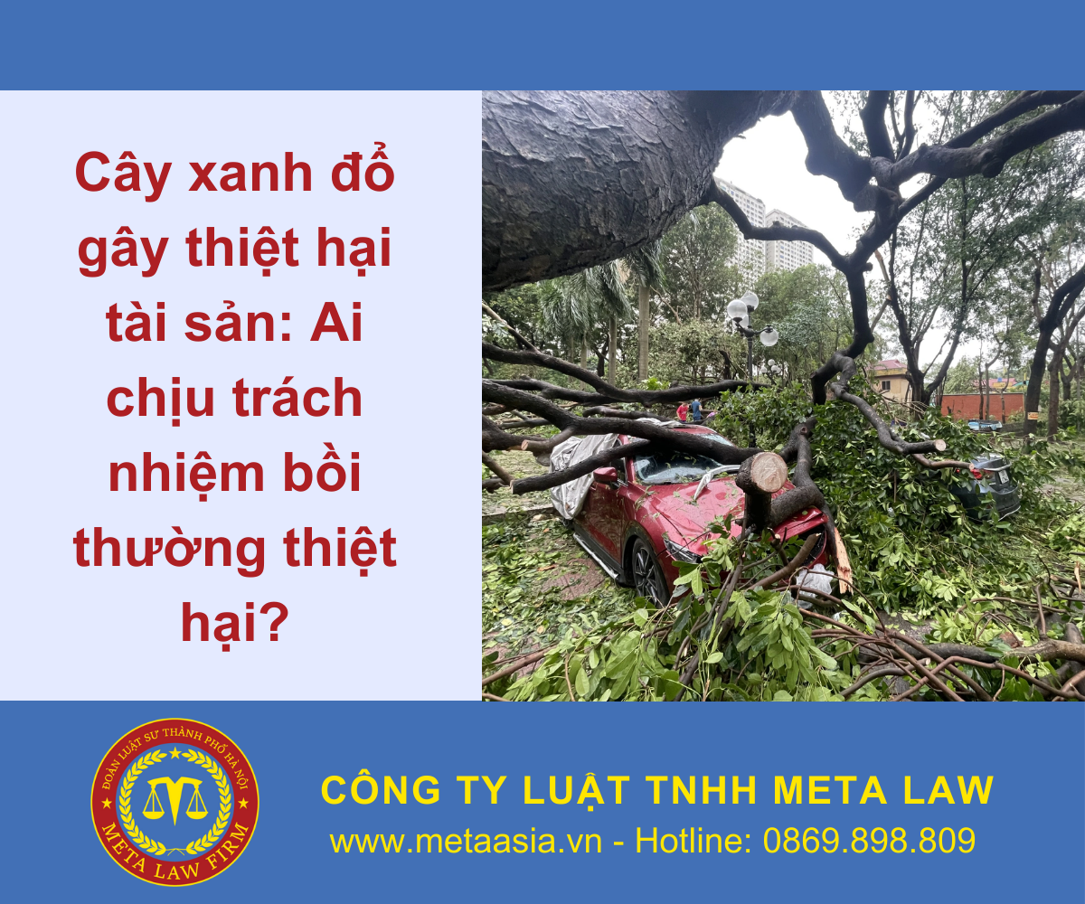 Cây xanh đổ gây thiệt hại tài sản: Ai chịu trách nhiệm bồi thường thiệt hại?