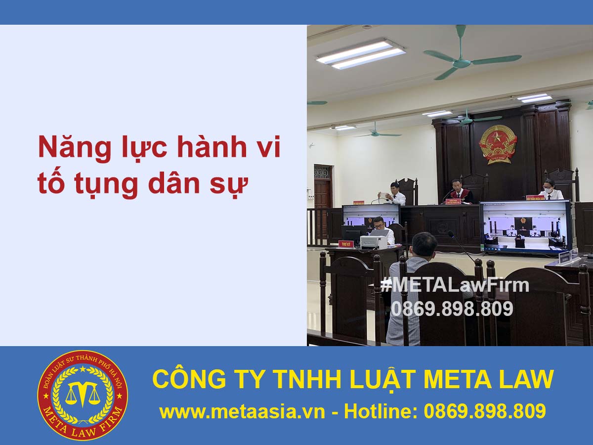 Quy định pháp luật về năng lực hành vi tố tụng dân sự