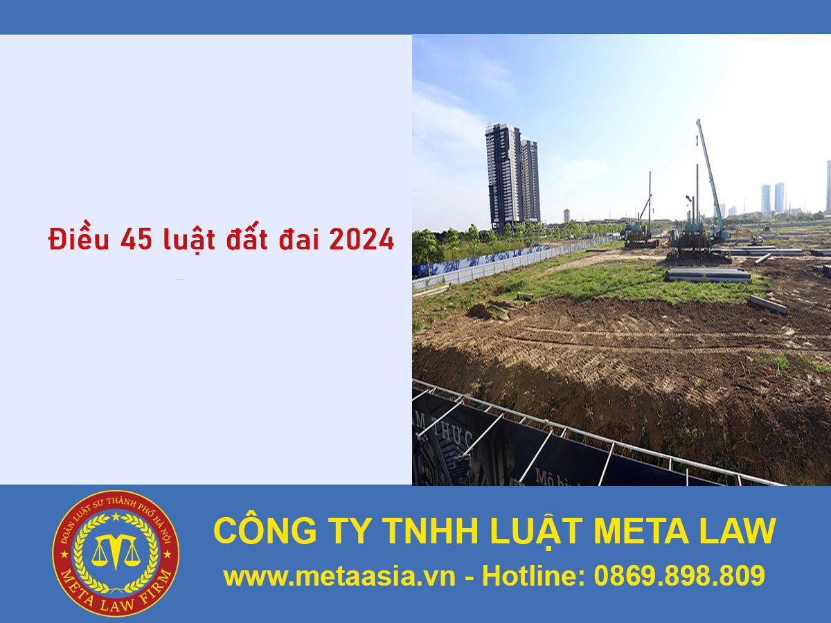 Điều 45 luật đất đai 2024 là gì? Các khoản 1, khoản 3 có gì